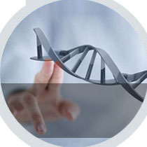 国外基因检测、海外基因检测、海外国外基因治疗、欧洲基因检测、疾病预测、欧洲DNA检测、肿瘤基因检测、基因检查、遗传疾病基因检测、基因检测